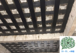 阳山厂房碳纤维加固